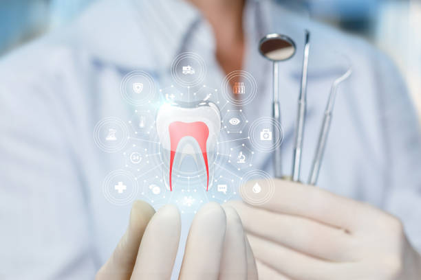 Trusted Providence, RI Dental Services Experts